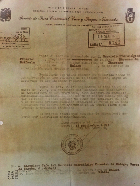 Oficio nº 5743, de 15/09/1971, autorizando el descaste de conejos en el monte Morenas de Briñuela.
