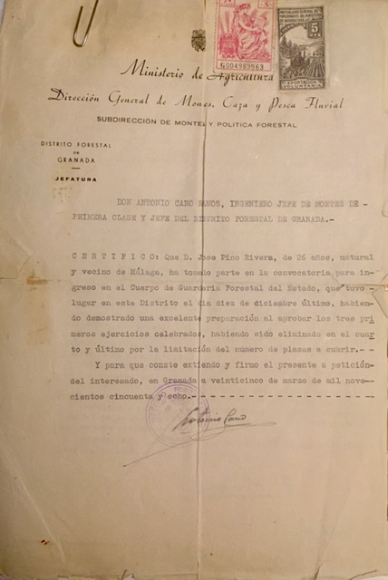 Certificado, de 25/03/1958, de participación en la convocatoria para ingreso en la Guardería Forestal.