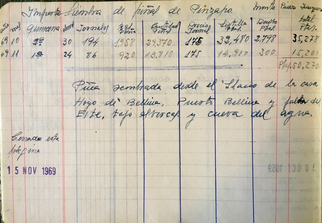 Página del 15/11/1969 del registro de trabajos. Siembra de piña de pinsapo.