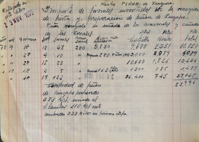 Página de 23/11/1970 del registro de trabajos. Recogida de piña y siembra de pinsapo en el pinsapar de Yunquera.