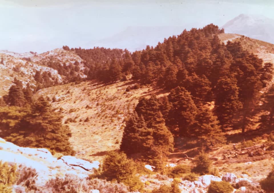 Fotografía del llano de la Casa. Fotografía de Laurent Minoux (09/09/1975).