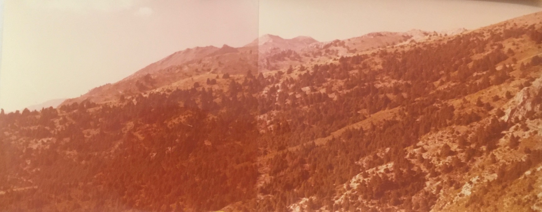 Vista de la zona alta de la umbría de los Lajares, monte de Yunquera, fotografía del Dr. Minoux, 09/09/1975.