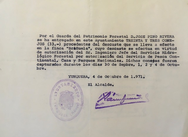 Recibo del Alcalde de Yunquera (Málaga) de 04/10/1971, por la entrega de 33 conejos procedentes de descaste.