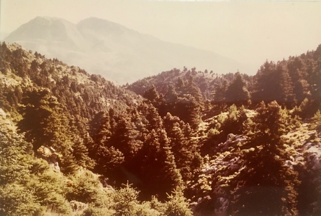 Cañada del Saucillo. Fotografía de Rudolf Janda, verano de 1983.