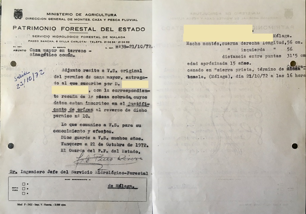 Oficio nº 38, de 21/10/1972, adjuntando permiso de caza mayor en terreno cinegético común.