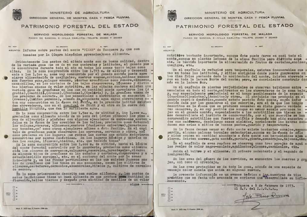 Informe de 09/02/1973 sobre pastos consumidos por cabra montés en el monte Pinar de Yunquera.