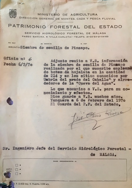 Oficio de 06/02/1970, informando sobre la experiencia de siembra de pinsapo empleando protectores.