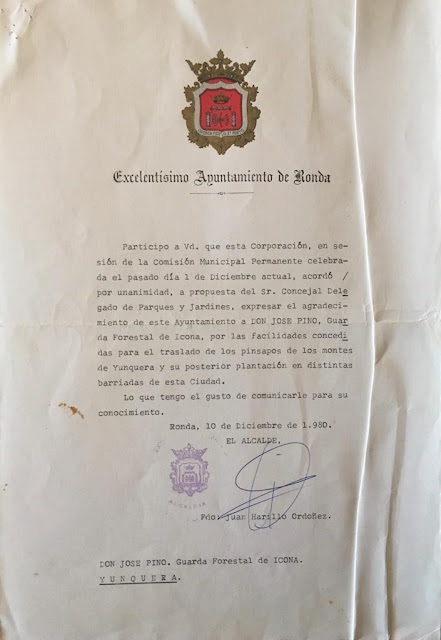 Carta de 10/12/1980 del Alcalde del Ayuntamiento de Ronda en agradecimiento