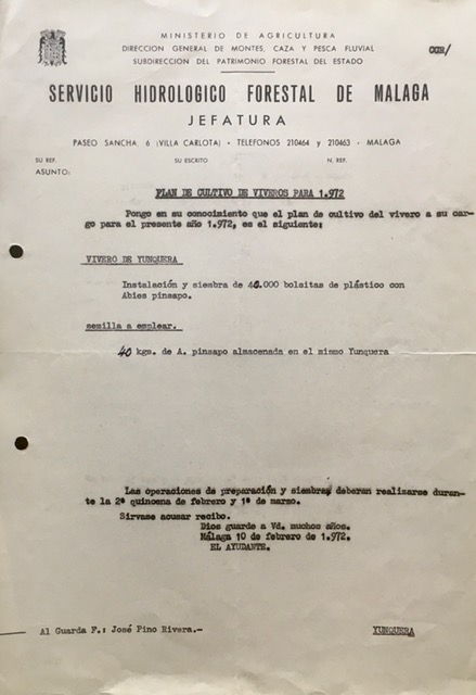 Escrito de 10/02/1972. Plan de cultivo del vivero de Yunquera para 1972, instalación y siembra de 40.000 bolsitas de pinsapo.