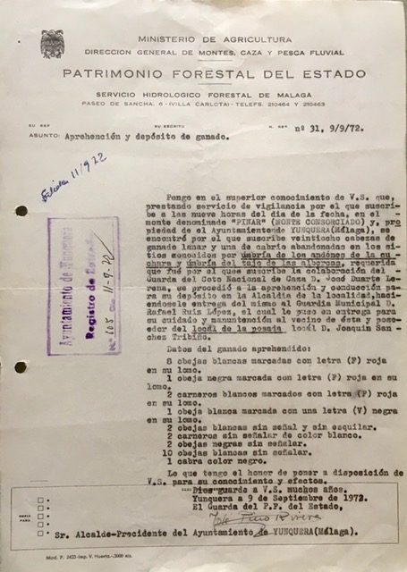 Oficio de 09/09/1972, poniendo en conocimiento la captura y depósito de ganado encontrado sin autorización en el monte.