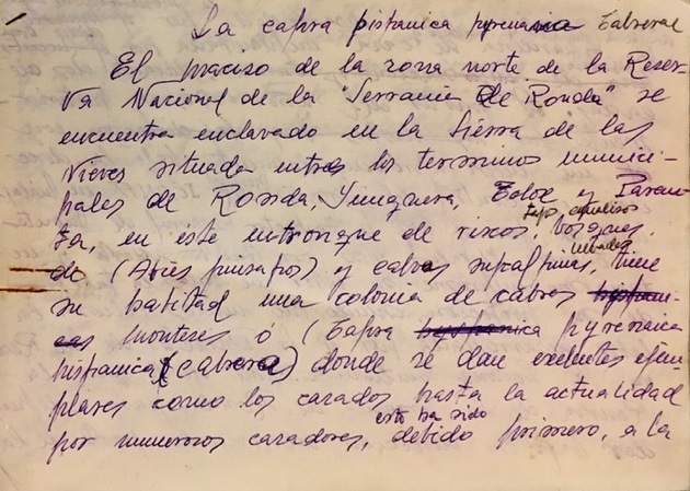 Texto manuscrito de 31/03/1976 con observaciones personales sobre la cabra montés en la RNC de la Serranía de Ronda.