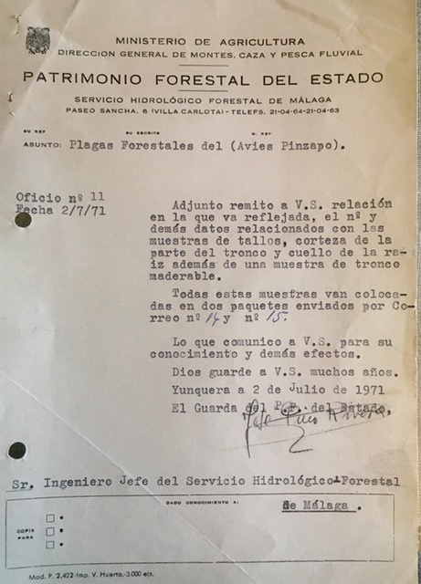 Oficio de 026/07/1971, adjuntando relación de muestras de plagas forestales de pinsapo.