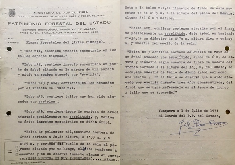 Relación nº 1 de muestras de plagas de pinsapo que se adjunta al oficio nº 11 de 26/07/1971.