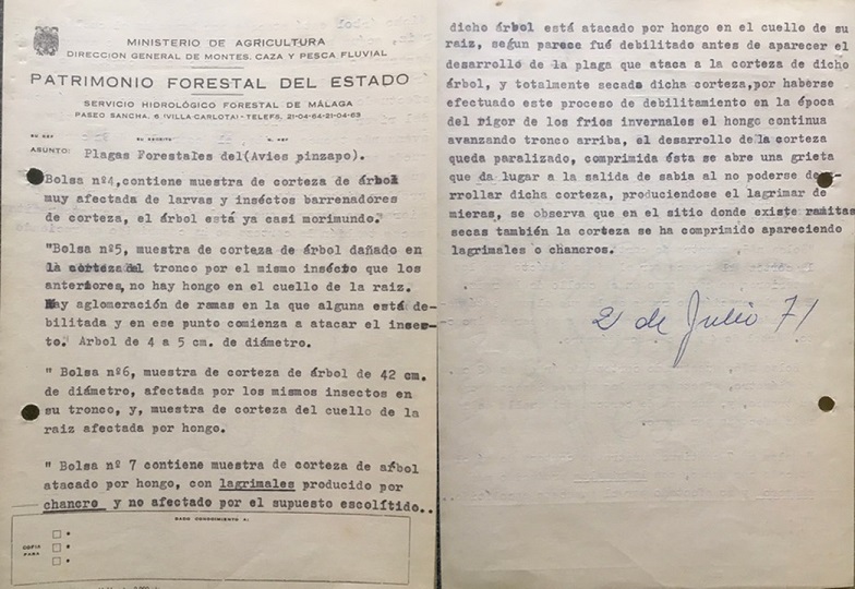 Relación nº 2 de muestras de plagas de pinsapo que se adjunta al oficio nº 11 de 26/07/1971.