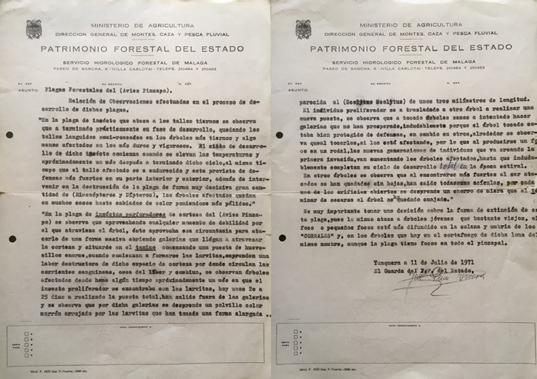 Informe de 11/07/1971, observaciones realizadas en el desarrollo de plagas forestales de pinsapo.