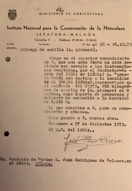 Oficio de 26/12/1973, informando que han sido retirados 250 kg de semilla de pinsapo con destino a El Bosque (Cádiz).
