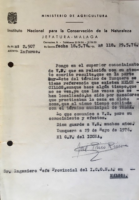 Oficio nº 118, de 29/05/1976, informando de la existencia de meloncillos en el término de Yunquera.