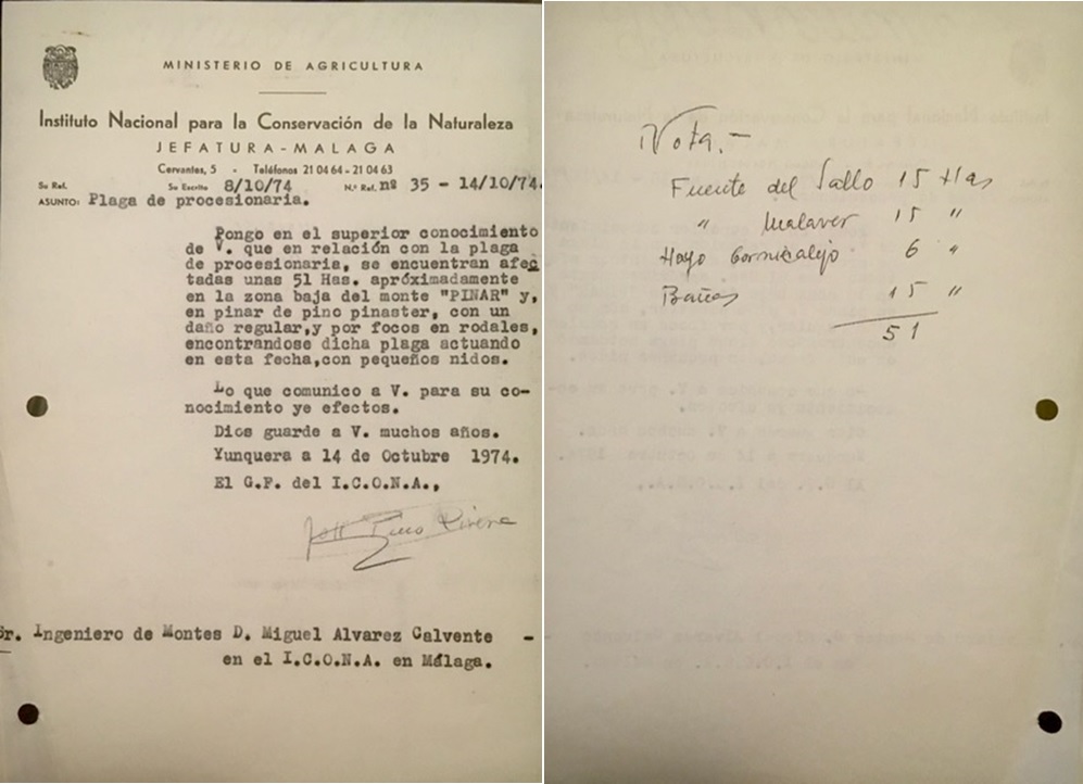 Oficio nº 35 de 14/10/1975, informando de la superficie afectada por procesionaria en el monte Pinar de Yunquera.