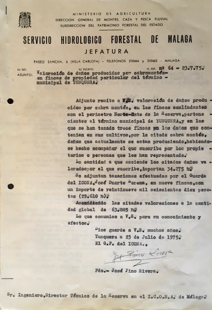 Oficio nº 64, de 23/07/1975, valoración de daños causados en fincas particulares por cabra montés.