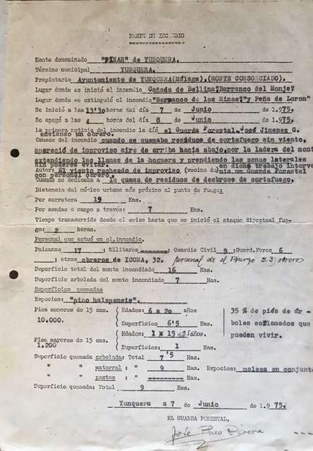 Parte del incendio forestal del 07/06/1975 del barranco del Monje en el monte Pinar de Yunquera.