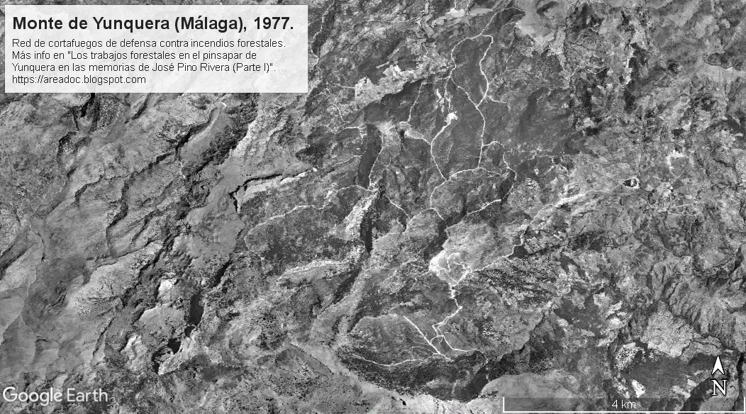 Fotografía aérea del vuelo de 1977 donde se observa la red de cortafuegos del monte Pinar de Yunquera.