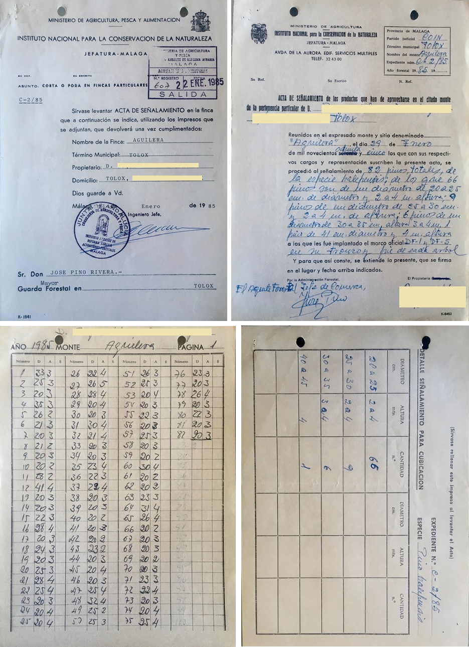 Oficio de corta en fincas particulares de 22/01/1985 y acta de señalamiento de 29/01/1985 de 82 pinos carrasco en la finca Aguilera.