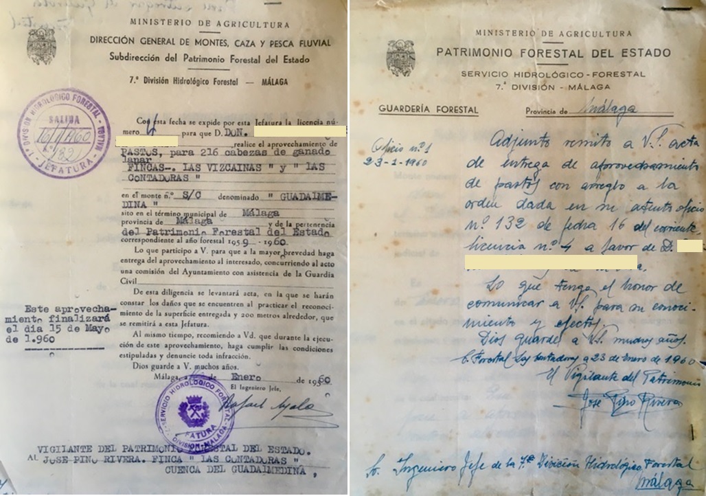 Oficio de 16/01/1960, licencia de pastos en las fincas Las Vizcaínas y Las Contadoras y acta de entrega del aprovechamiento.