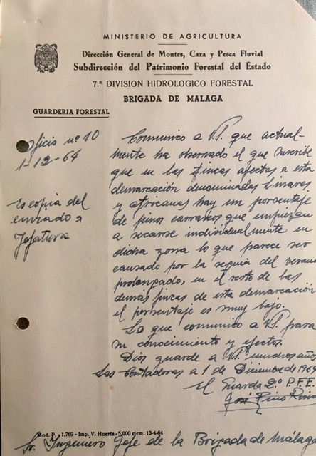Oficio de 01/12/1964, comunicando que en las fincas Linares y Africanas comienzan a secarse los pinos.