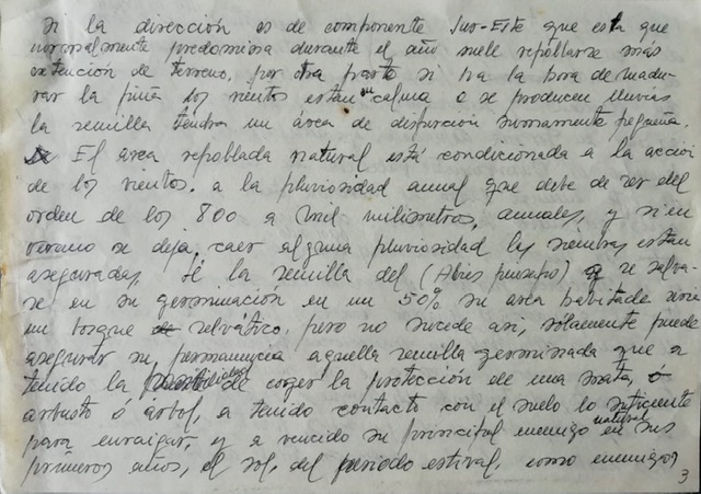 Texto de 31/03/1976 con observaciones personales sobre la diseminación y germinación del pinsapo en el pinsapar de Yunquera.