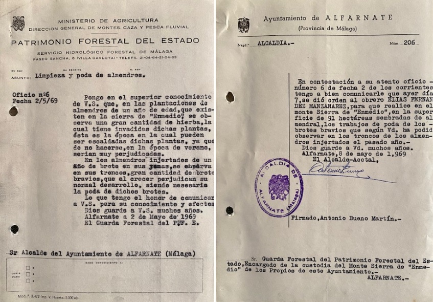 Oficio de 02/05/1969, informando sobre la necesidad de escardar y podar los almendros del monte sierra de Enmedio.