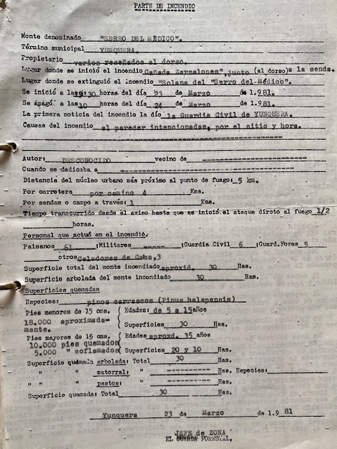 Parte del incendio forestal del 23/03/1981 del cerro del Médico, limítrofe con el monte Pinar de Yunquera (Málaga).