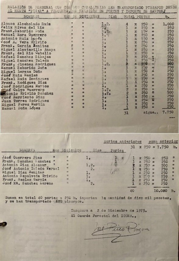 Relación de 02/12/1975 de personas que con caballerías han transportado pinsapos de entresaca desde el pinsapar a Yunquera.