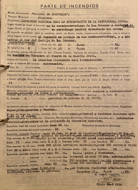 Parte del incendio forestal del 12/06/1983 del monte de las Morenas de Briñuela en el término de Yunquera (Málaga).