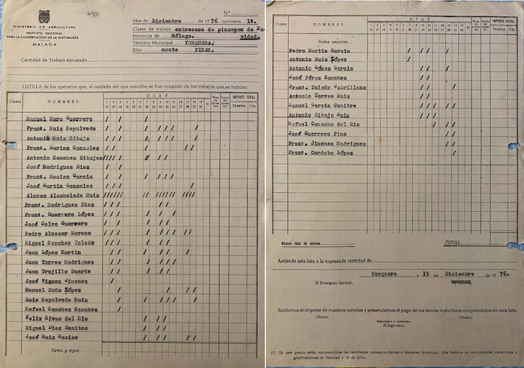 Listilla de operarios de los trabajos de entresaca de pinsapos en el monte Pinar de Yunquera en diciembre de 1976.