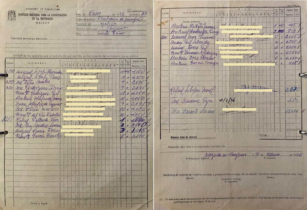 Listilla de pago de operarios de los trabajos de plantación de pinsapos en el monte Pinar de Yunquera en enero de 1976.