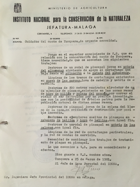 Oficio de 25/03/1981, informando de los cuidados del monte de Yunquera de urgente necesidad.