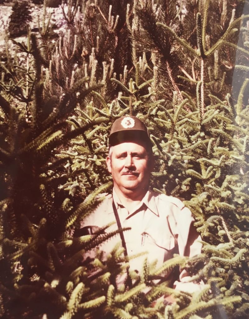 Imagen de José Pino Rivera rodeado de repoblado de pinsapos en el Llano de la Casa, monte Pinar de Yunquera.