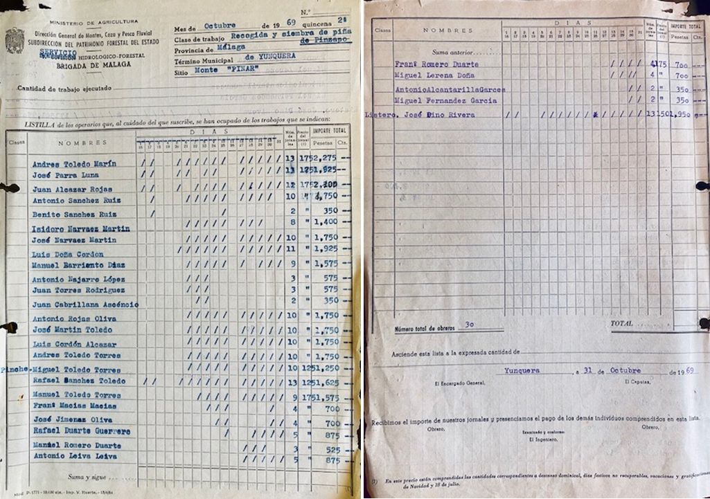 Listilla de octubre de 1969 de operarios en recogida y siembra de piña de pinsapo en el monte Pinar de Yunquera.