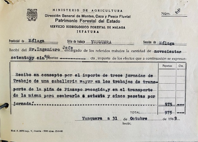 Recibo por el importe de trece jornadas de caballería en portes de piña de pinsapo en el monte Pinar de Yunquera.