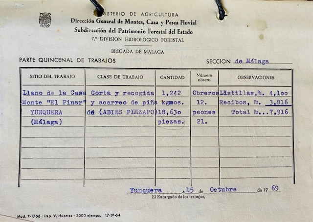 Parte quincenal de 31/10/1969 de trabajos de corta, recogida y acarreo de piña de pinsapo en el monte Pinar de Yunquera.