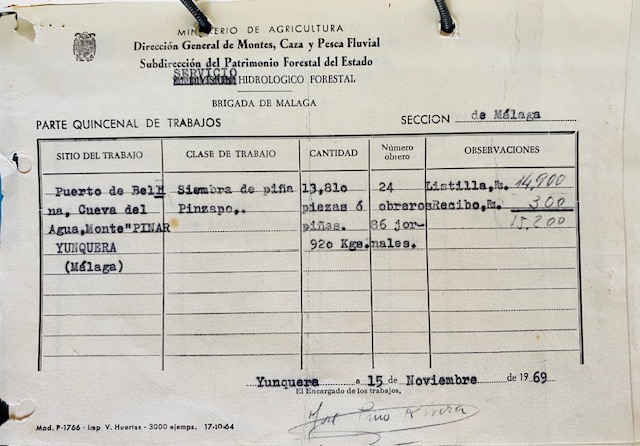 Parte quincenal de 15/11/1969 de trabajos de siembra de piña de pinsapo en el monte Pinar de Yunquera.