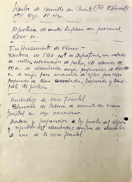 Hoja con el resumen de trabajos del 16-31/01/1977 en los montes de Yunquera. Hoja dos de cuatro.