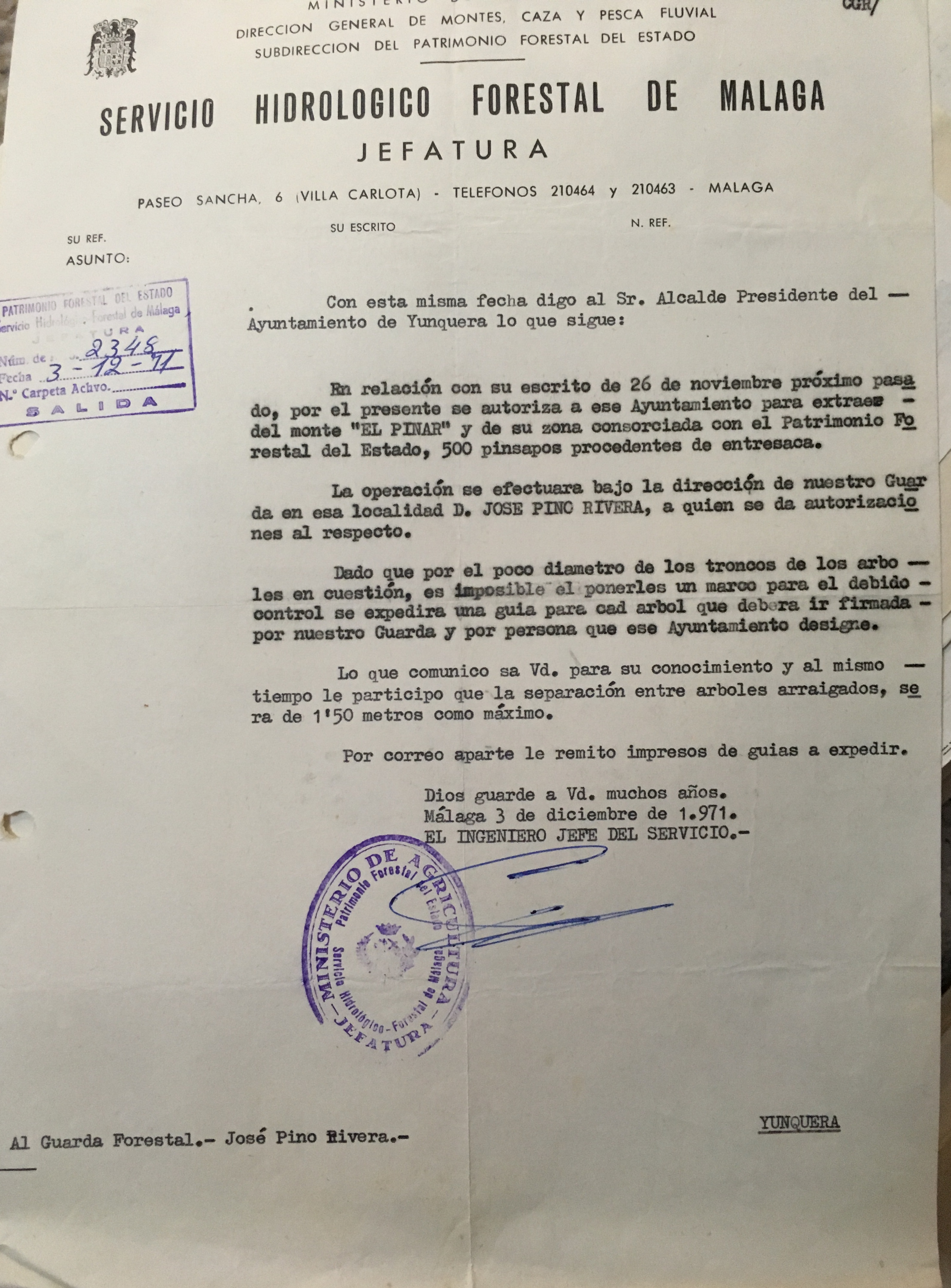 Oficio de 3/12/1971, autorizando al Ayto. de Yunquera 500 pinsapos de entresaca.