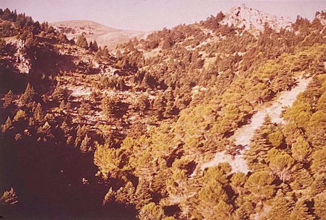 Cañada del Saucillo. Fotografía de Rudolf Janda (1983).
