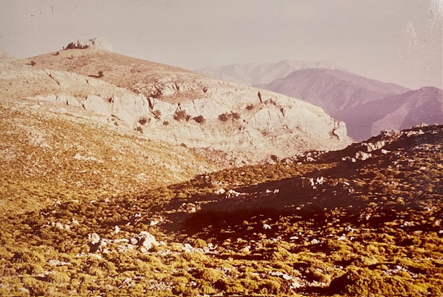 Paisaje de la Sierra de las Nieves. Fotografía de Rudolf Janda (1983).