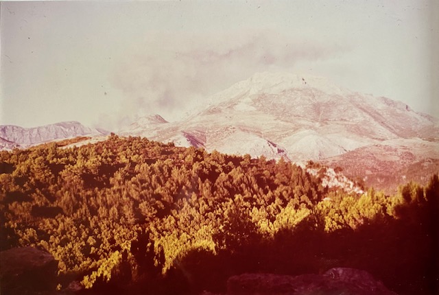Paisaje del monte Pinar de Yunquera (Málaga). Fotografía de Rudolf Janda (1983).