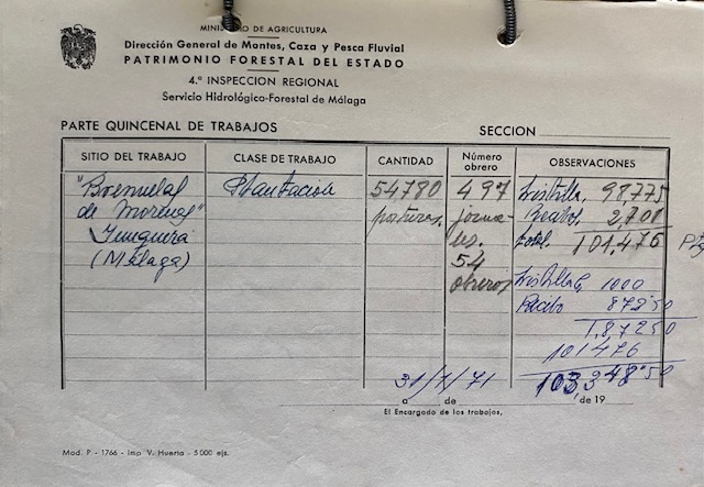 Parte quincenal de trabajos de 31/01/1971 en el monte Morenas de Briñuela, Yunquera (Málaga).