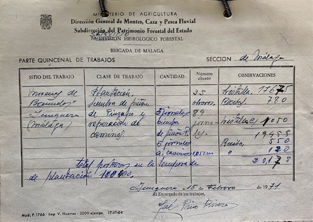 Parte quincenal de trabajos de 15/02/1971 en el monte Morenas de Briñuela, Yunquera (Málaga).