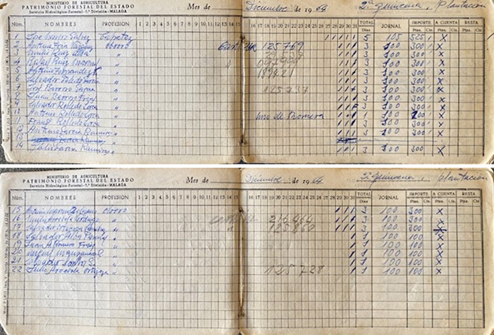 Repoblación forestal del monte Sierra de Enmedio de Alfarnate (Málaga). Cuaderno de jornales de 1964.