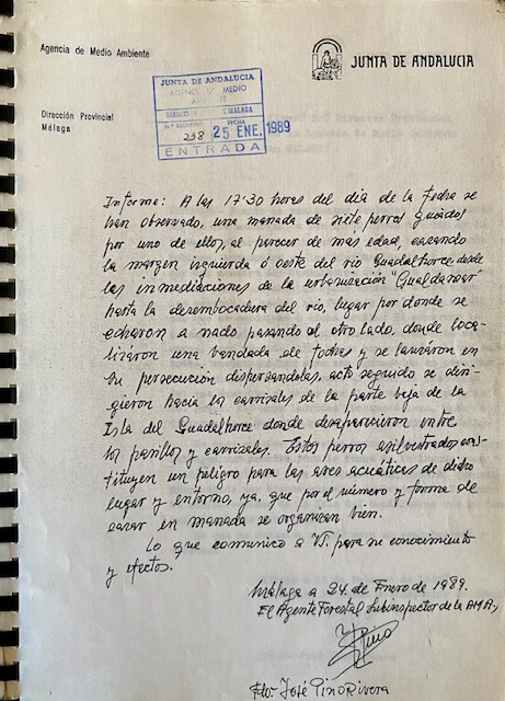 Informe, nº 238 de 25/01/1989, comunicando presencia de perros asilvestrados en la Desembocadura del Guadalhorce.